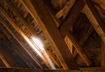 Attic Insulation Removal | Attic Cleaning Fremont, CA
