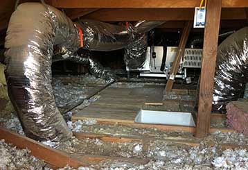 Crawl Space Cleaning | Attic Cleaning Fremont, CA