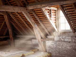 Attic Cleaning Services | Attic Cleaning Fremont, CA Attic Cleaning Services | Attic Cleaning Fremont, CA