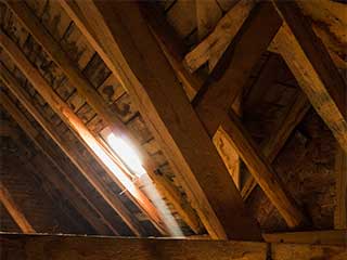 Attic Insulation Removal Services | Attic Cleaning Fremont, CA Attic Insulation Removal Services | Attic Cleaning Fremont, CA
