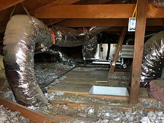 Crawl Space Cleaning Services | Attic Cleaning Fremont, CA Crawl Space Cleaning Services | Attic Cleaning Fremont, CA