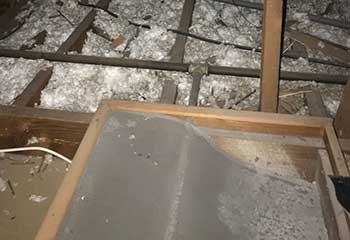 Commercial Rodent Proofing Project | Attic Cleaning Fremont, CA