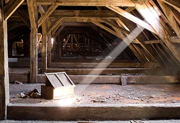 The Holidays are Approaching - Great Timing for Attic Cleaning | Attic Cleaning Fremont, CA
